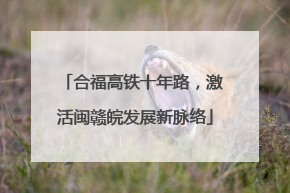 合福高铁十年路，激活闽赣皖发展新脉络