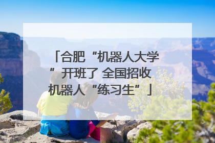 合肥“机器人大学”开班了 全国招收机器人“练习生”