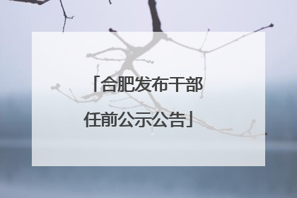 合肥发布干部任前公示公告