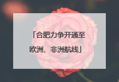 合肥力争开通至欧洲、非洲航线