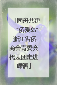 同舟共建“侨爱岛” 浙江省侨商会青委会代表团走进嵊泗