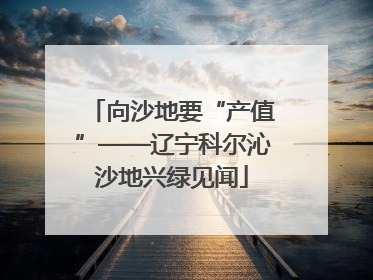 向沙地要“产值”——辽宁科尔沁沙地兴绿见闻