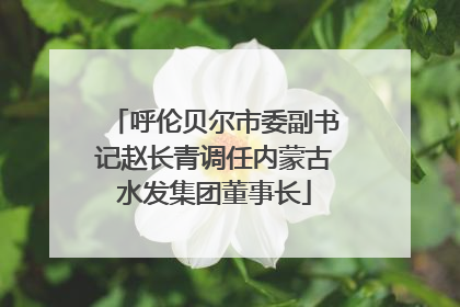 呼伦贝尔市委副书记赵长青调任内蒙古水发集团董事长