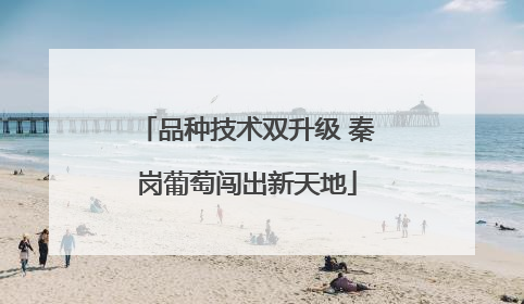 品种技术双升级 秦岗葡萄闯出新天地