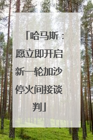 哈马斯：愿立即开启新一轮加沙停火间接谈判