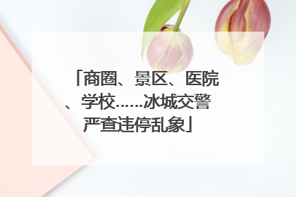 商圈、景区、医院、学校……冰城交警严查违停乱象