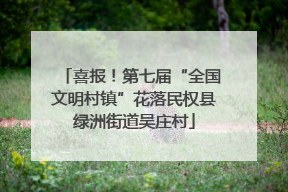 喜报！第七届“全国文明村镇”花落民权县绿洲街道吴庄村