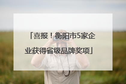 喜报！衡阳市5家企业获得省级品牌奖项