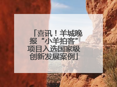 喜讯！羊城晚报“小羊拍客”项目入选国家级创新发展案例