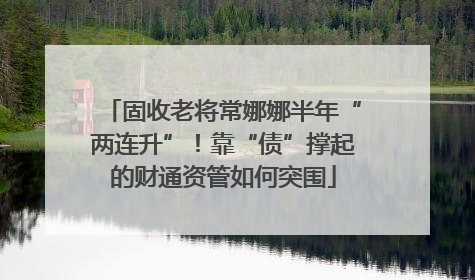 固收老将常娜娜半年“两连升”！靠“债”撑起的财通资管如何突围