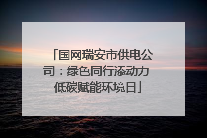 国网瑞安市供电公司：绿色同行添动力 低碳赋能环境日