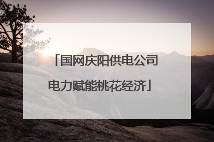 国网庆阳供电公司电力赋能桃花经济