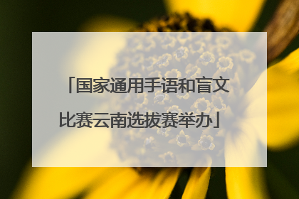国家通用手语和盲文比赛云南选拔赛举办