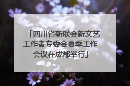 四川省新联会新文艺工作者专委会夏季工作会议在成都举行