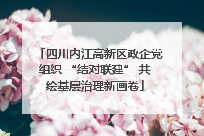 四川内江高新区政企党组织 “结对联建” 共绘基层治理新画卷