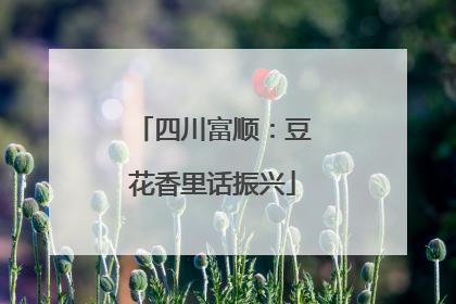四川富顺：豆花香里话振兴