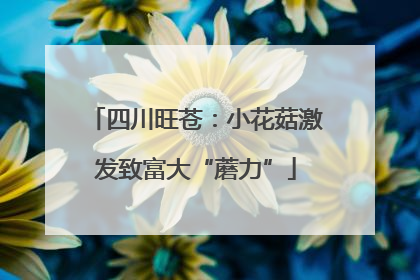 四川旺苍：小花菇激发致富大“蘑力”