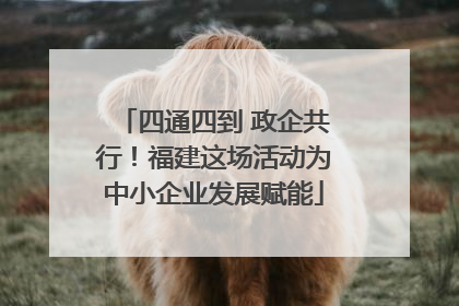 四通四到 政企共行！福建这场活动为中小企业发展赋能