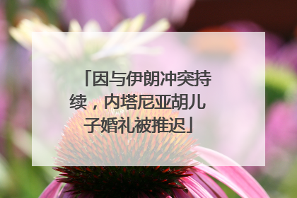 因与伊朗冲突持续，内塔尼亚胡儿子婚礼被推迟