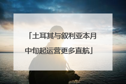 土耳其与叙利亚本月中旬起运营更多直航