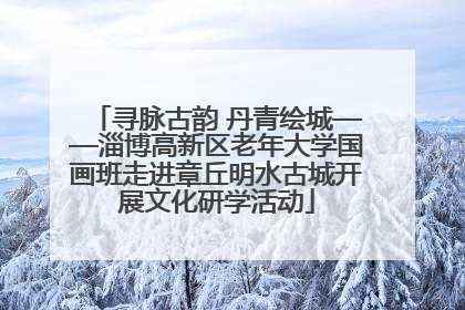 寻脉古韵 丹青绘城——淄博高新区老年大学国画班走进章丘明水古城开展文化研学活动