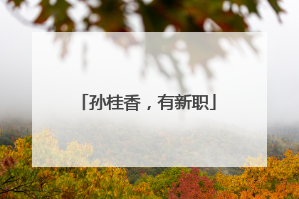孙桂香，有新职