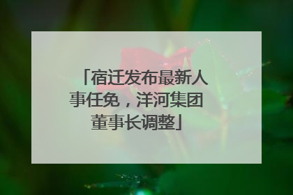 宿迁发布最新人事任免，洋河集团董事长调整
