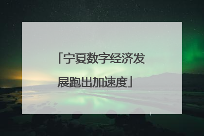 宁夏数字经济发展跑出加速度