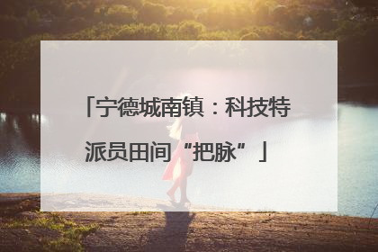 宁德城南镇：科技特派员田间“把脉”