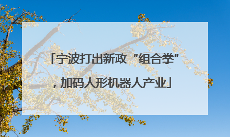 宁波打出新政“组合拳”，加码人形机器人产业