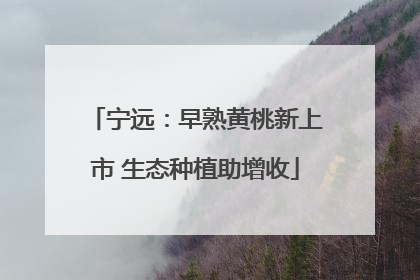 宁远：早熟黄桃新上市 生态种植助增收