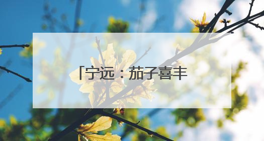 宁远：茄子喜丰收 产业促振兴