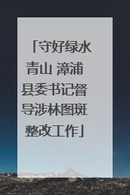 守好绿水青山 漳浦县委书记督导涉林图斑整改工作