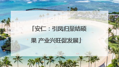 安仁：引凤归巢结硕果 产业兴旺促发展