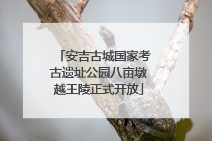 安吉古城国家考古遗址公园八亩墩越王陵正式开放