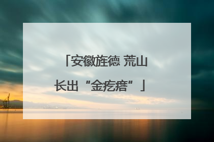 安徽旌德 荒山长出“金疙瘩”
