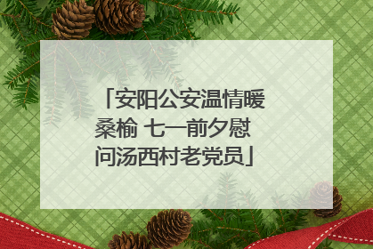 安阳公安温情暖桑榆 七一前夕慰问汤西村老党员
