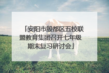 安阳市殷都区五校联盟教育集团召开七年级期末复习研讨会