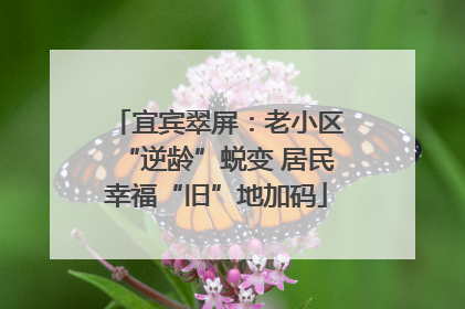 宜宾翠屏：老小区“逆龄”蜕变 居民幸福“旧”地加码