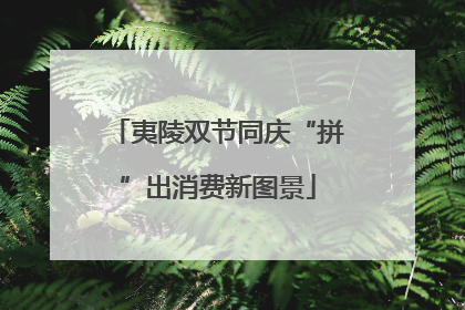 夷陵双节同庆“拼”出消费新图景