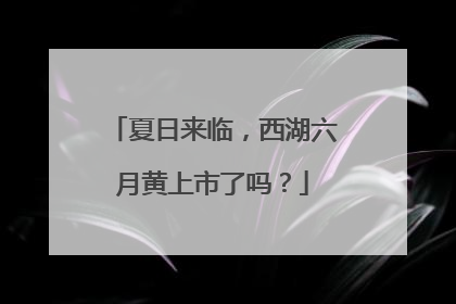 夏日来临，西湖六月黄上市了吗？
