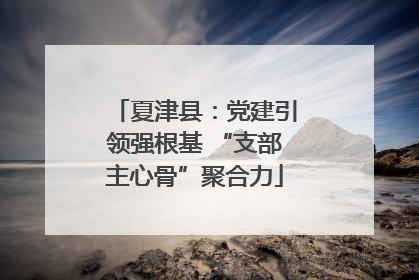 夏津县：党建引领强根基 “支部主心骨”聚合力