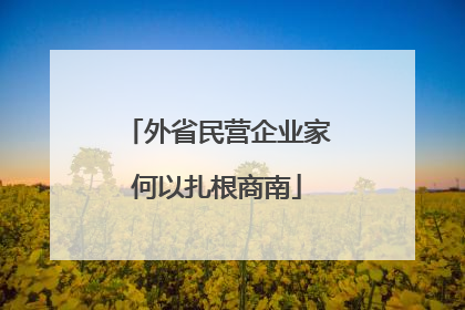 外省民营企业家何以扎根商南
