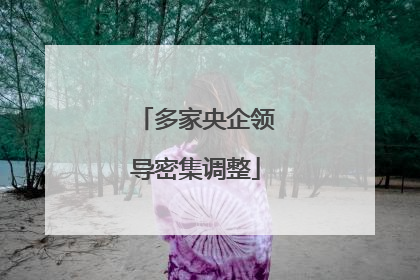 多家央企领导密集调整