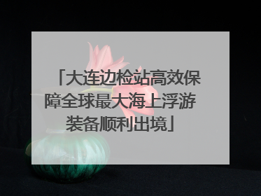 大连边检站高效保障全球最大海上浮游装备顺利出境