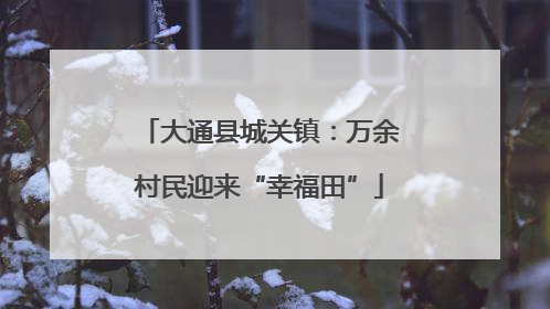 大通县城关镇：万余村民迎来“幸福田”