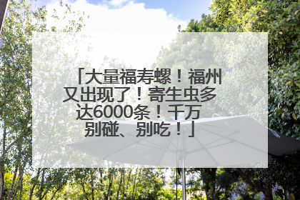 大量福寿螺！福州又出现了！寄生虫多达6000条！千万别碰、别吃！