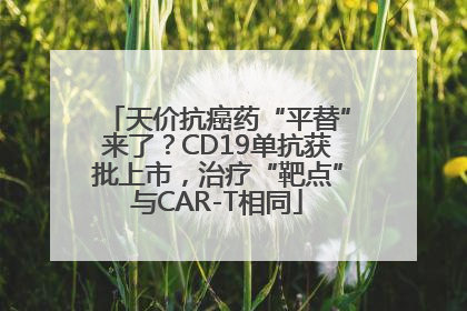 天价抗癌药“平替”来了？CD19单抗获批上市，治疗“靶点”与CAR-T相同