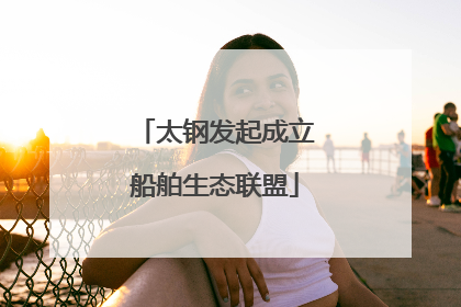 太钢发起成立船舶生态联盟