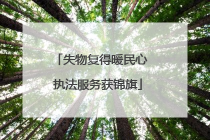 失物复得暖民心 执法服务获锦旗